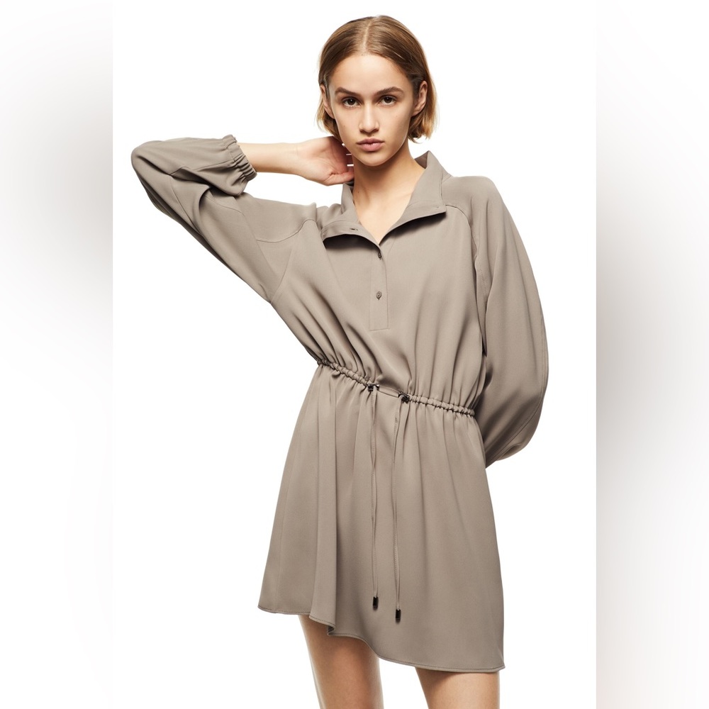 Zara Dress